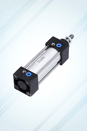 Pneumatic Cylinder